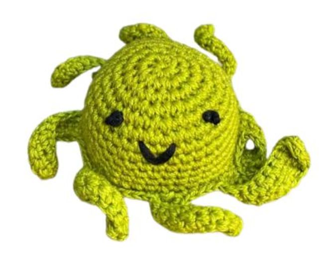 Hovedbilde Hekla Blekksprut